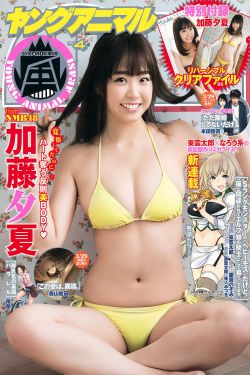 黄色小书