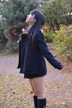风车网